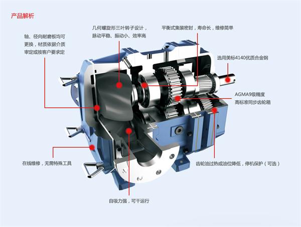 凸輪轉(zhuǎn)子泵特點