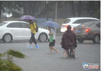 暴雨來襲 親們~請注意交通安全，別急！